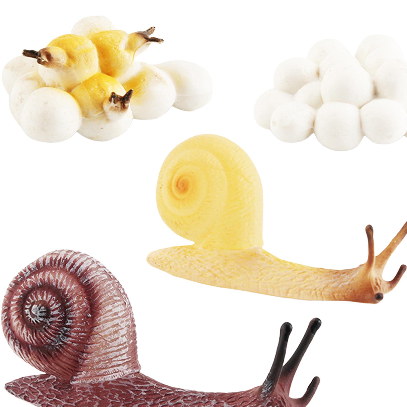 Giocattolo Educativo per la Pr - Kids Toys Cycle recensione e prezzo