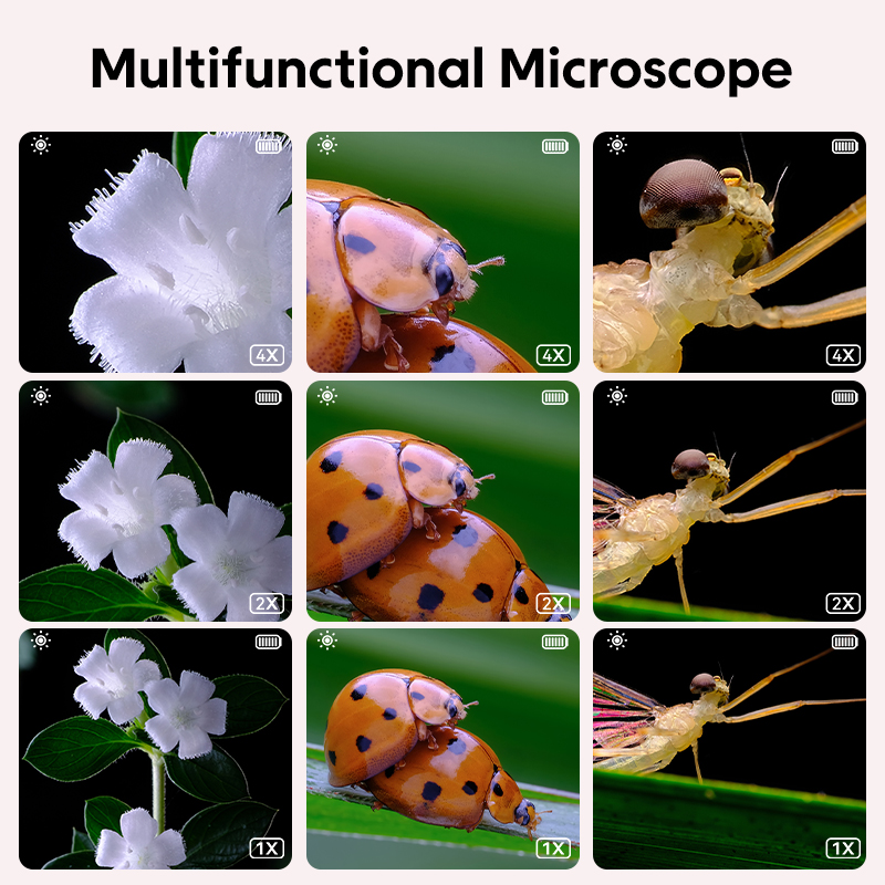 Mini microscopio ottico per ba - Kids Toys Videos recensione e prezzo